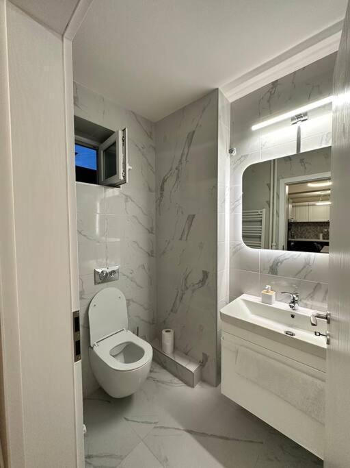 Ultracentral Luxury Apartament Timisoara Exterior foto