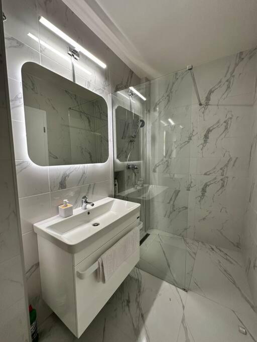 Ultracentral Luxury Apartament Timisoara Exterior foto