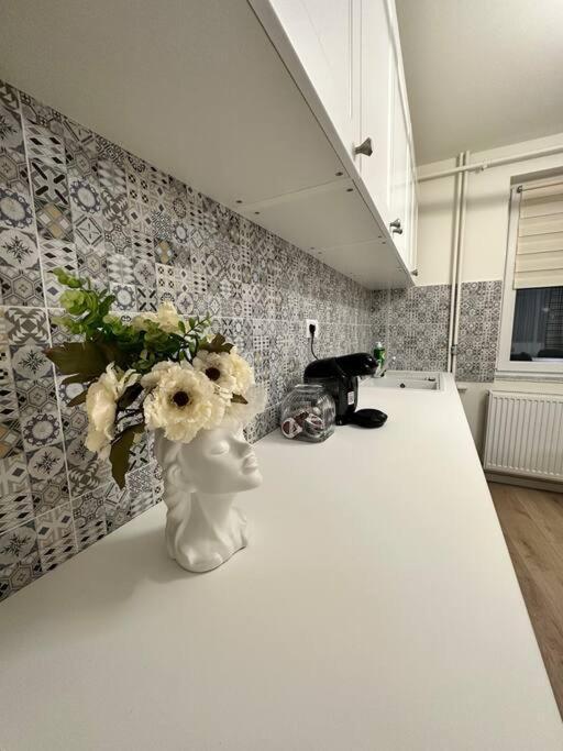 Ultracentral Luxury Apartament Timisoara Exterior foto