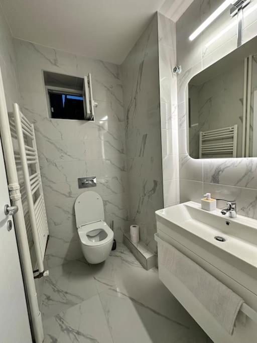 Ultracentral Luxury Apartament Timisoara Exterior foto